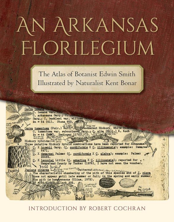 Produktbild: An Arkansas Florilegium: The Atlas of Botanist Edwin Smith Illustrated by Naturalist Kent Bonar