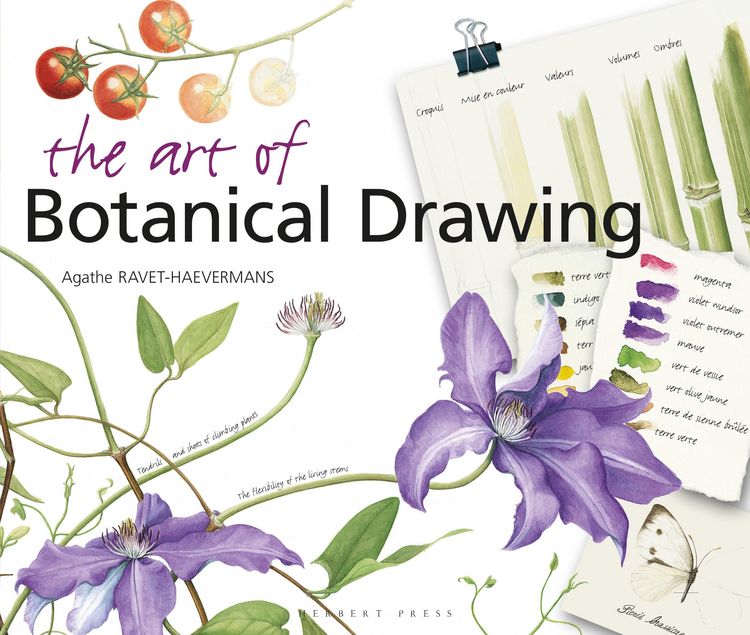 Produktbild: The Art of Botanical Drawing