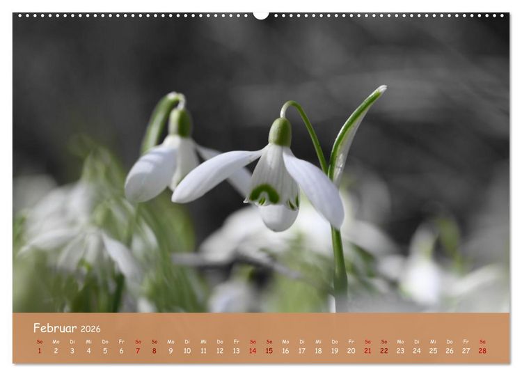 Produktbild: Der Zauber steckt immer im Detail (Wandkalender 2026 DIN A2 quer), CALVENDO Monatskalender