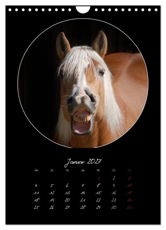 Produktbild: Crazy horses (Wandkalender 2027 DIN A4 hoch), CALVENDO Monatskalender