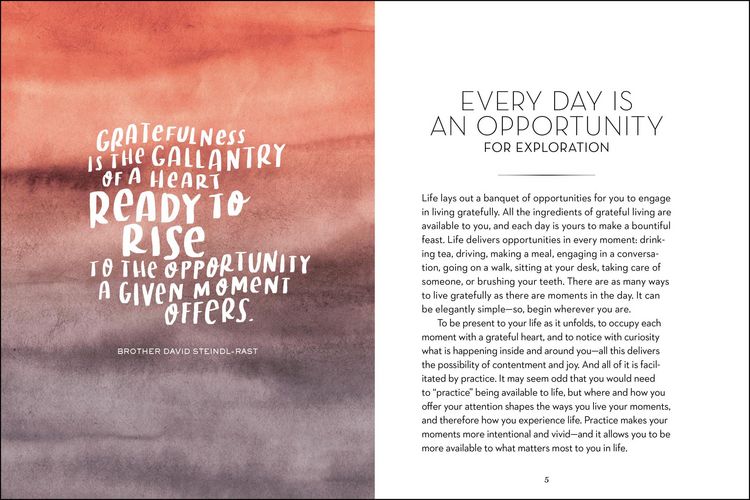 Produktbild: The Gratitude Explorer Workbook