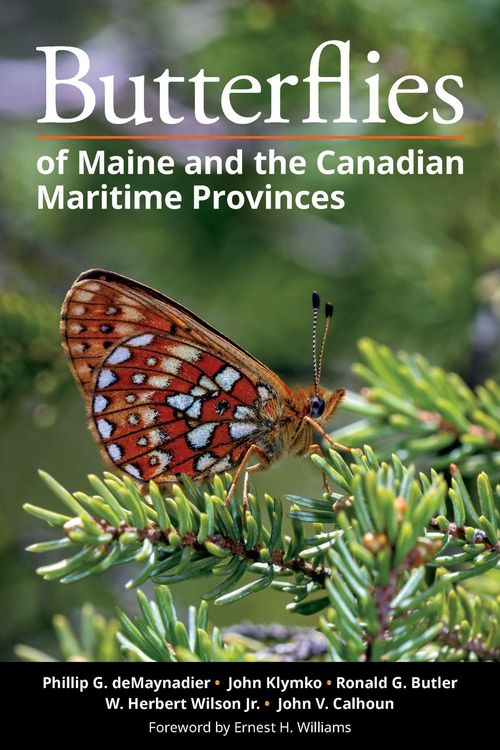 Produktbild: Butterflies of Maine and the Canadian Maritime Provinces