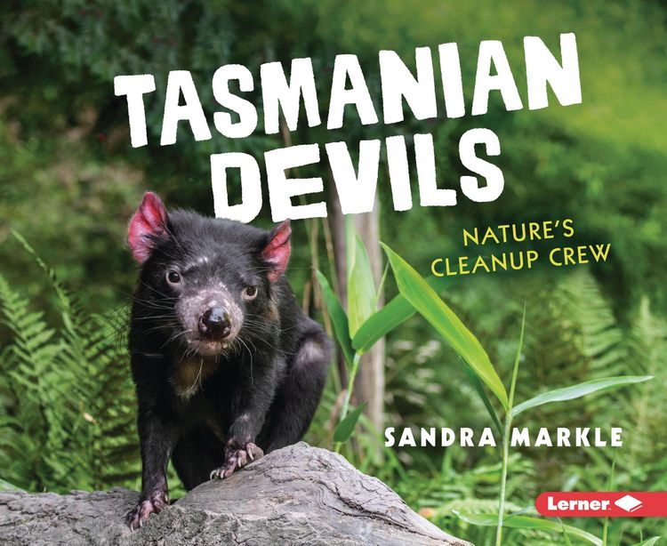 Produktbild: Tasmanian Devils