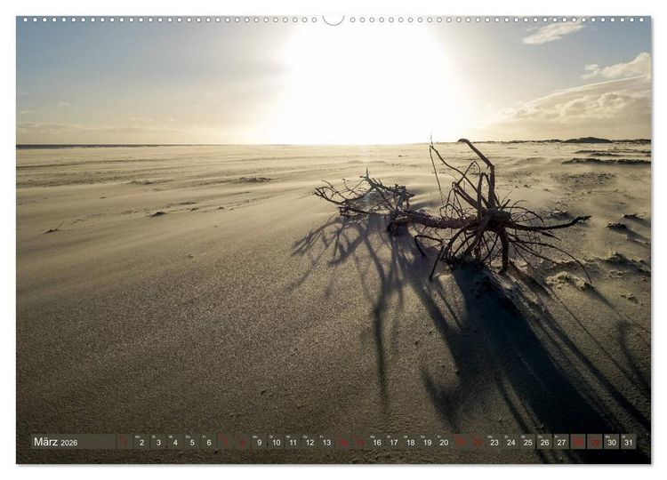 Produktbild: Einzigartiges Spiekeroog (Wandkalender 2026 DIN A2 quer), CALVENDO Monatskalender