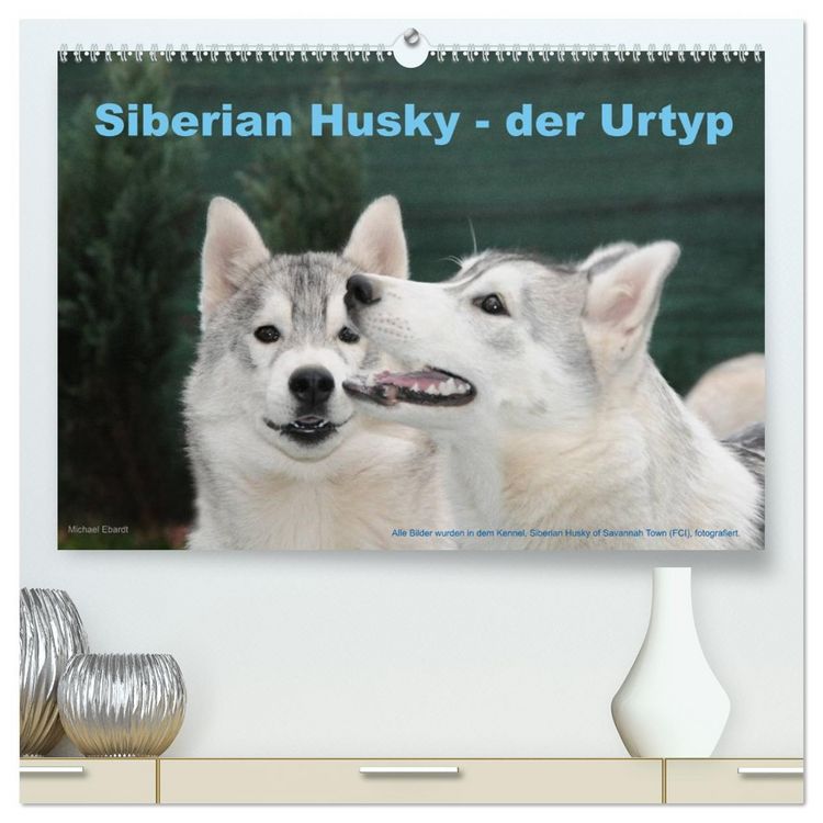 Produktbild: Siberian Husky - der Urtyp (hochwertiger Premium Wandkalender 2026 DIN A2 quer), Kunstdruck in Hochglanz