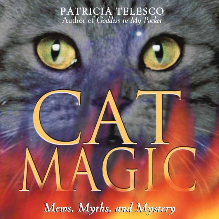 Produktbild: Cat Magic