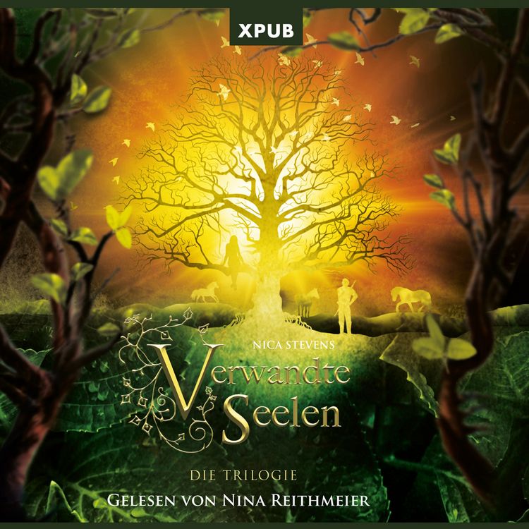 Produktbild: Verwandte Seelen - Die Trilogie