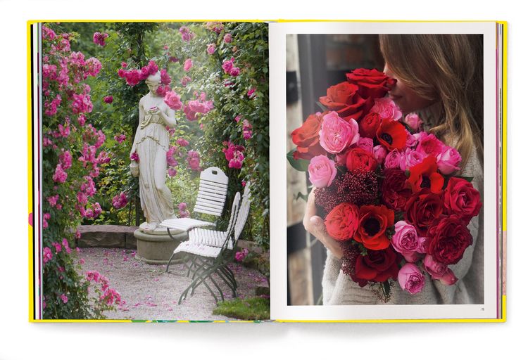Produktbild: Floramour: Roses / Rosen