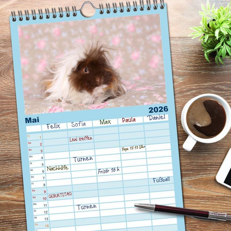 Produktbild: Familienplaner 2026 - Niedliche Meerschweinchen mit 5 Spalten (Wandkalender, 21 x 45 cm) CALVENDO
