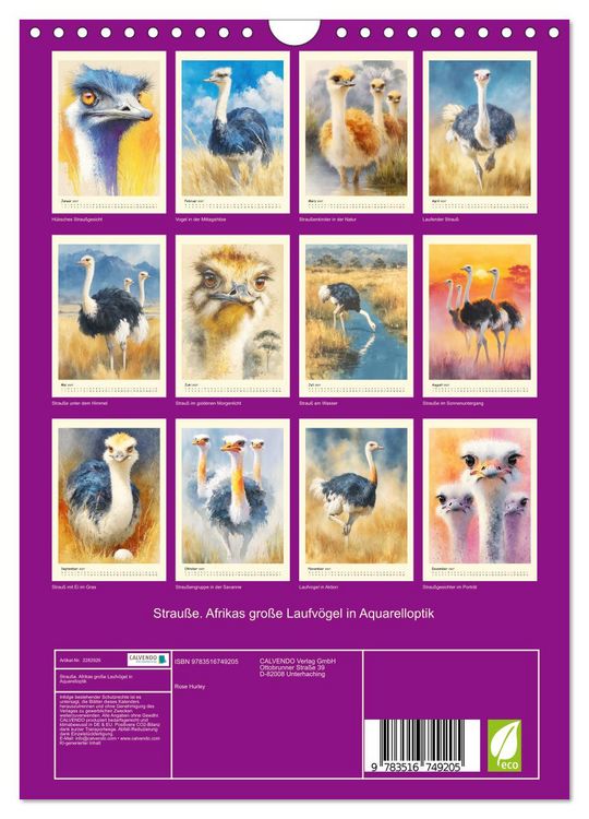 Produktbild: Strau&szlig;e. Afrikas gro&szlig;e Laufv&ouml;gel in Aquarelloptik (Wandkalender 2027 DIN A4 hoch), CALVENDO Monatskalender