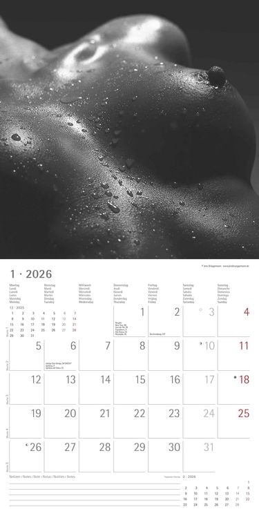 Produktbild: Feminine 2026 - Broschürenkalender 30x30 cm (30x60 geöffnet) - Kalender mit Platz für Notizen - Feminin - Bildkalender - Wandplaner - Erotikkalender