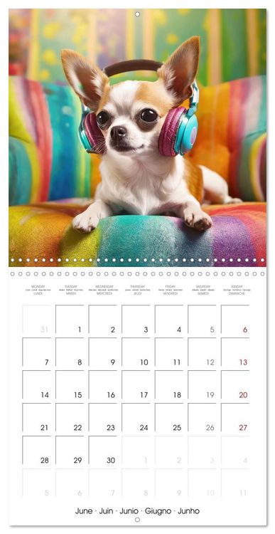 Produktbild: Chilling Chihuahuas (Wall Calendar 2027 12 &times; 12 Inch) CALVENDO 12 Month Wall Calendar