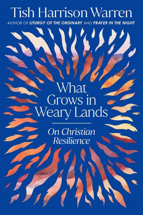 Produktbild: What Grows in Weary Lands