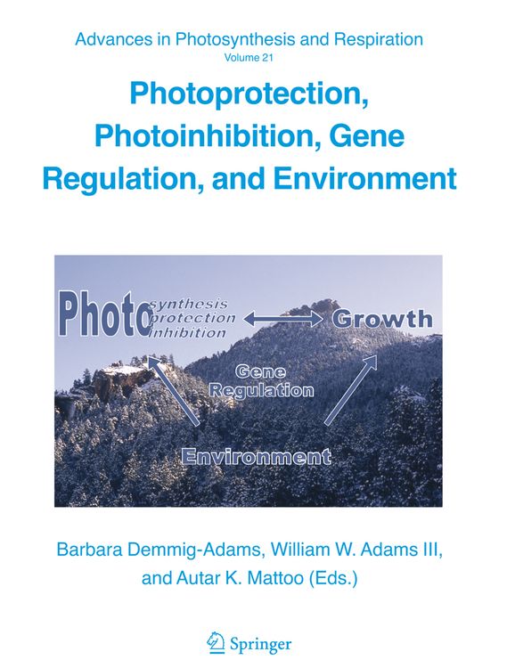 Produktbild: Photoprotection, Photoinhibition, Gene Regulation, and Environment