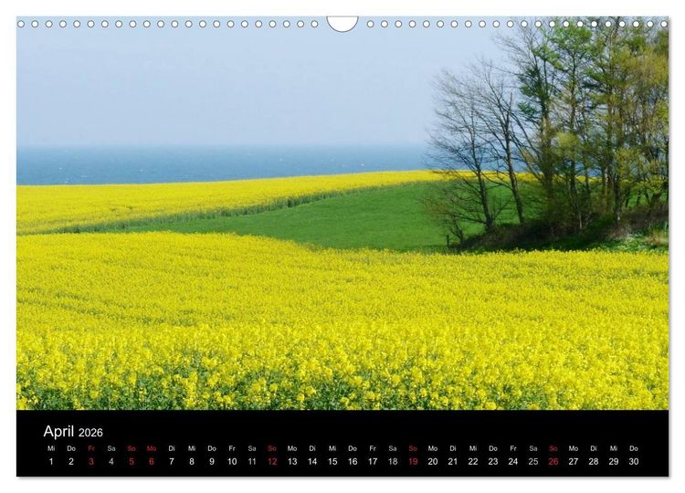 Produktbild: land und leben (Wandkalender 2026 DIN A3 quer), CALVENDO Monatskalender