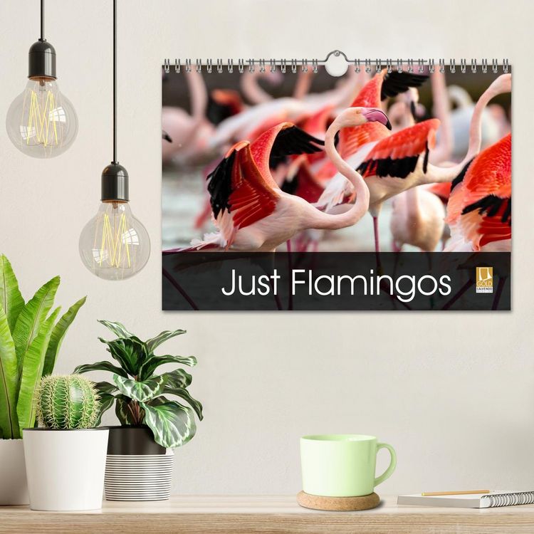Produktbild: Just Flamingos (Wall Calendar 2026 DIN A4 landscape), CALVENDO 12 Month Wall Calendar
