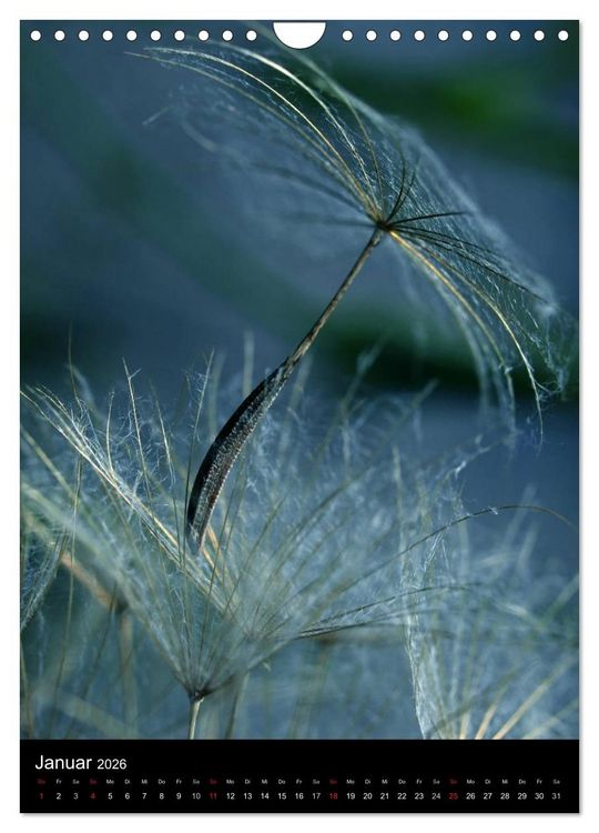 Produktbild: Kunst in der Natur (Wandkalender 2026 DIN A4 hoch), CALVENDO Monatskalender