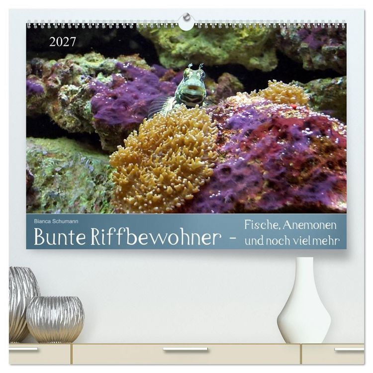Produktbild: Bunte Riffbewohner - Fische, Anemonen und noch viel mehr (hochwertiger Premium Wandkalender 2027 DIN A2 quer), Kunstdruck in Hochglanz