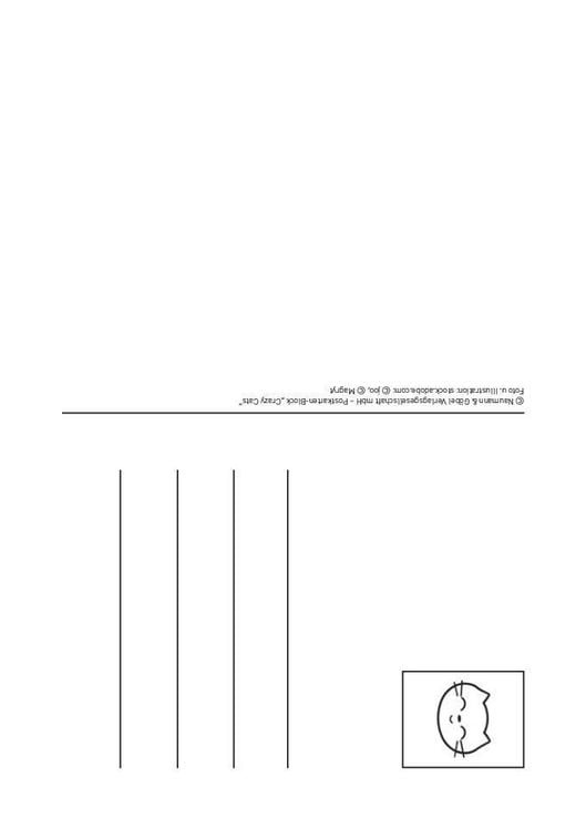 Produktbild: Postkartenblock Crazy Cats