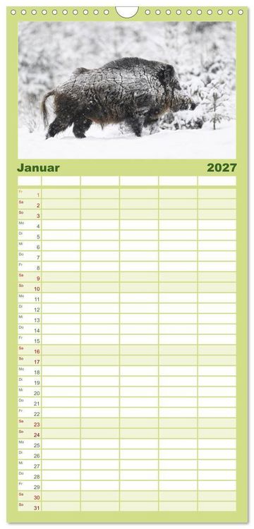 Produktbild: Familienplaner 2027 - Wildschweine &ndash; Wildlife Fotografien mit 5 Spalten (Wandkalender, 21 x 45 cm) CALVENDO
