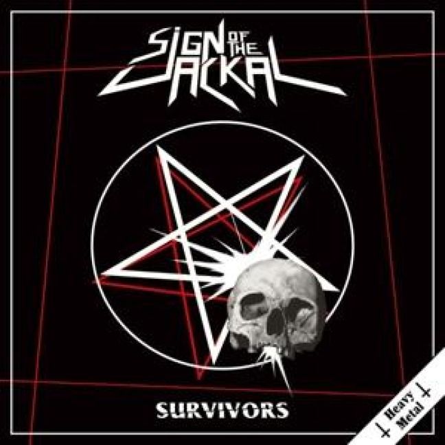 Produktbild: Heavy Metal Survivors