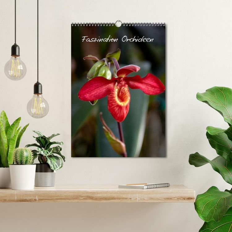 Produktbild: Faszination Orchideen (Wandkalender 2026 DIN A3 hoch), CALVENDO Monatskalender