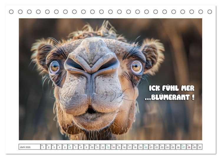 Produktbild: Humorvoll durch das Jahr (Tischkalender 2026 DIN A5 quer), CALVENDO Monatskalender