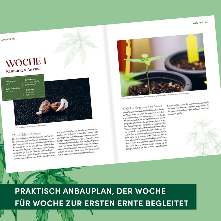 Produktbild: Cannabis-Anbau f&uuml;r Anf&auml;nger