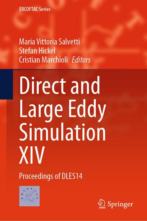 Produktbild: Direct and Large Eddy Simulation XIV