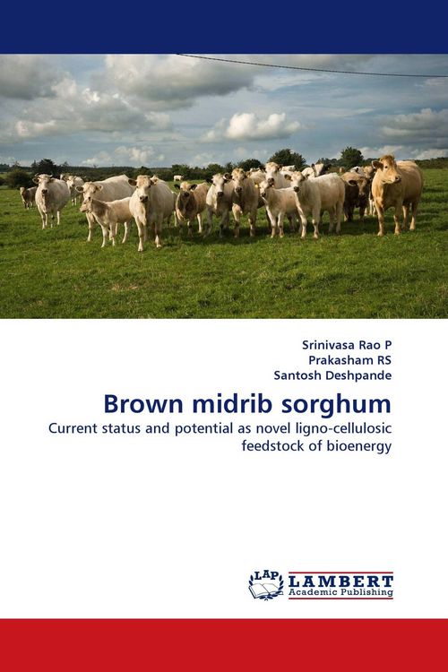 Produktbild: Brown midrib sorghum