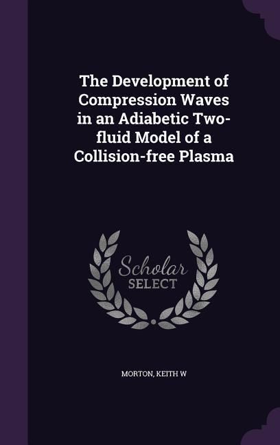 Produktbild: The Development of Compression Waves in an Adiabetic Two-fluid Model of a Collision-free Plasma