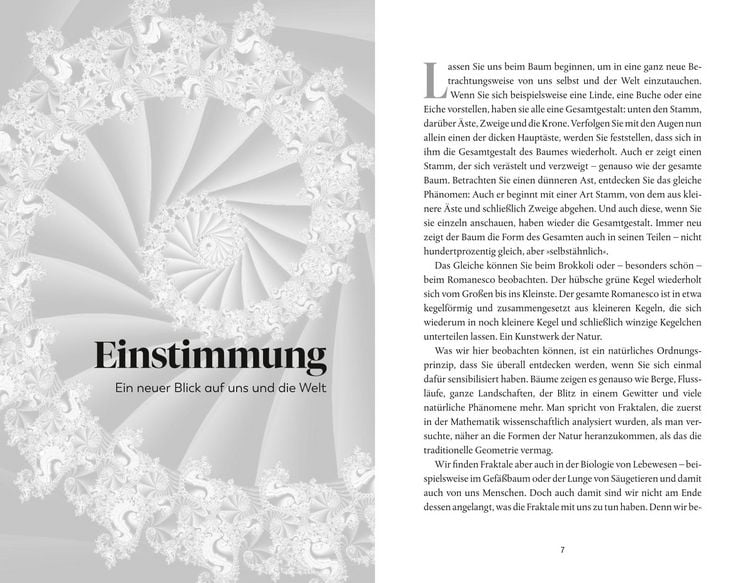 Produktbild: Geometrie der Seele