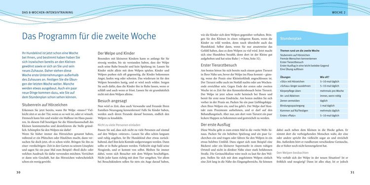 Produktbild: Welpen-Erziehung