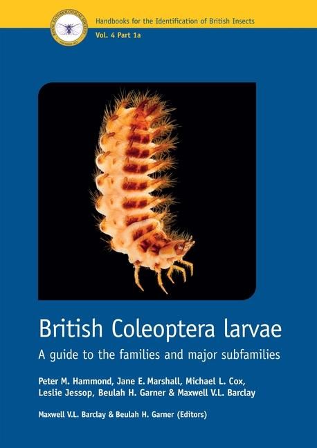 Produktbild: British Coleoptera Larvae