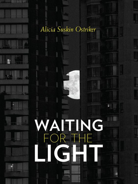 Produktbild: Waiting for the Light