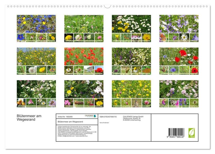 Produktbild: Bl&uuml;tenmeer am Wegesrand (hochwertiger Premium Wandkalender 2026 DIN A2 quer), Kunstdruck in Hochglanz