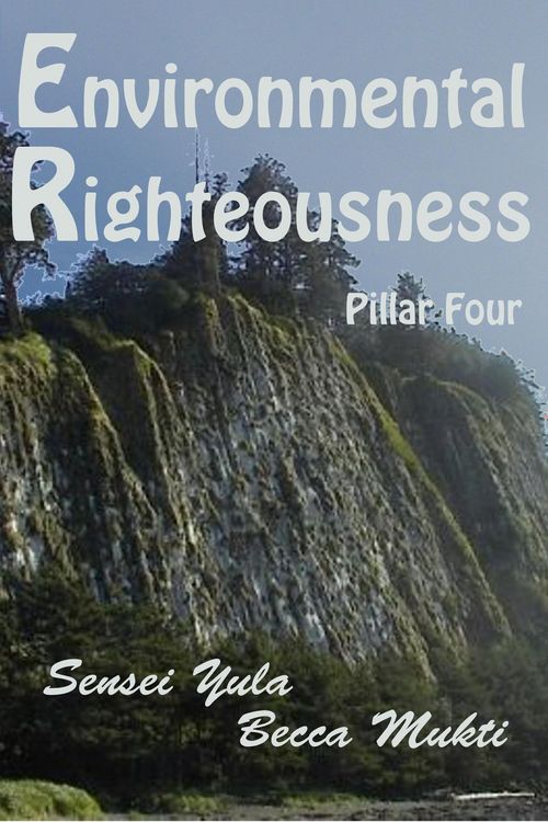 Produktbild: Environmental Righteousness: Pillar Four