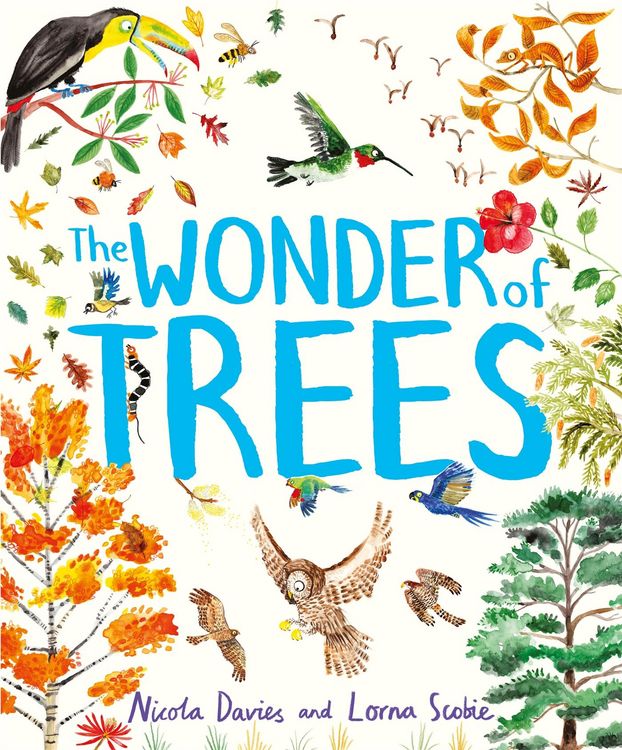 Produktbild: The Wonder of Trees