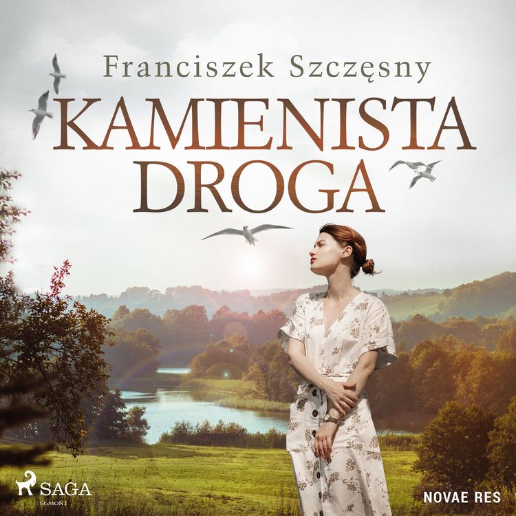 Produktbild: Kamienista droga