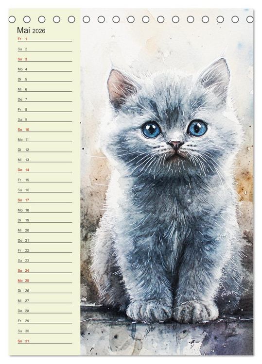 Produktbild: Bezaubernde Katzen. Miezen im lieblichen Aquarell-Stil (Tischkalender 2026 DIN A5 hoch), CALVENDO Monatskalender