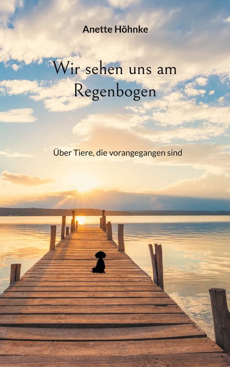Produktbild: Wir sehen uns am Regenbogen