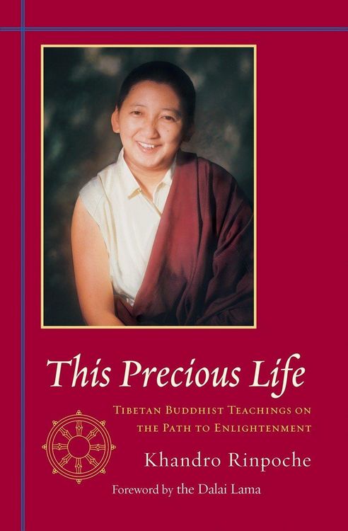 Produktbild: This Precious Life: Tibetan Buddhist Teachings on the Path to Enlightenment