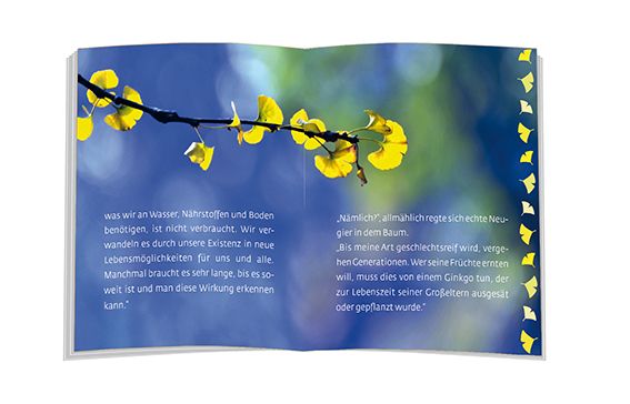 Produktbild: Das M&auml;rchen vom Lebensbaum