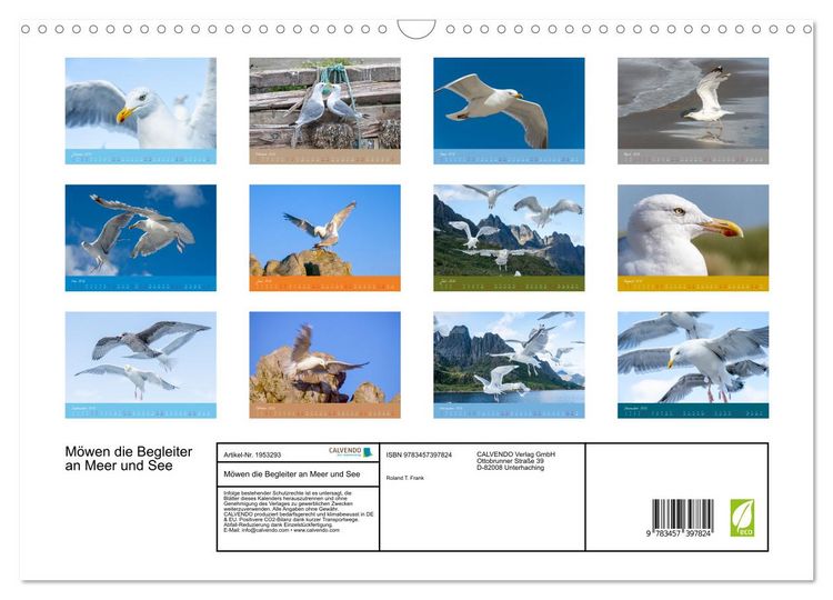 Produktbild: M&ouml;wen die Begleiter an Meer und See (Wandkalender 2026 DIN A3 quer), CALVENDO Monatskalender