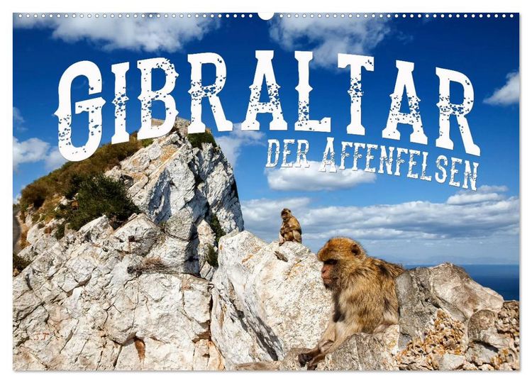 Produktbild: Gibraltar - der Affenfelsen (Wandkalender 2026 DIN A2 quer), CALVENDO Monatskalender