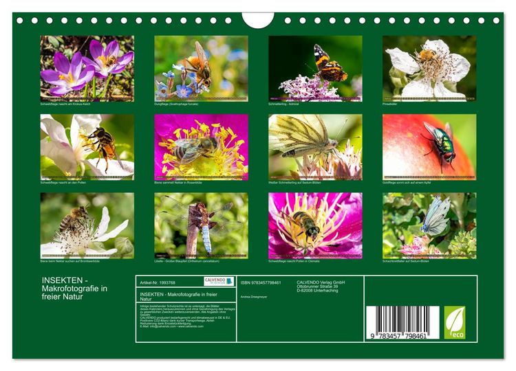 Produktbild: INSEKTEN - Makrofotografie in freier Natur (Wandkalender 2026 DIN A4 quer), CALVENDO Monatskalender