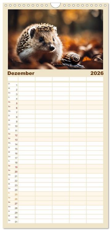 Produktbild: Familienplaner 2026 - Igel - Wildtier des Jahres 2024 mit 5 Spalten (Wandkalender, 21 x 45 cm) CALVENDO