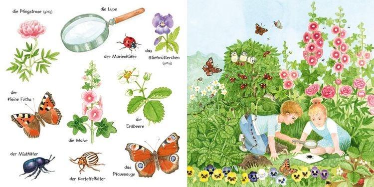 Produktbild: Mein kleines buntes Bildw&ouml;rterbuch: Krabbeltiere und Bl&uuml;mchen