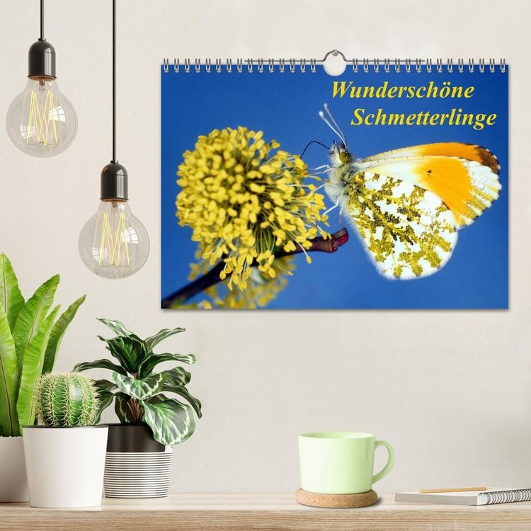 Produktbild: Wundersch&ouml;ne Schmetterlinge (Wandkalender 2026 DIN A4 quer), CALVENDO Monatskalender