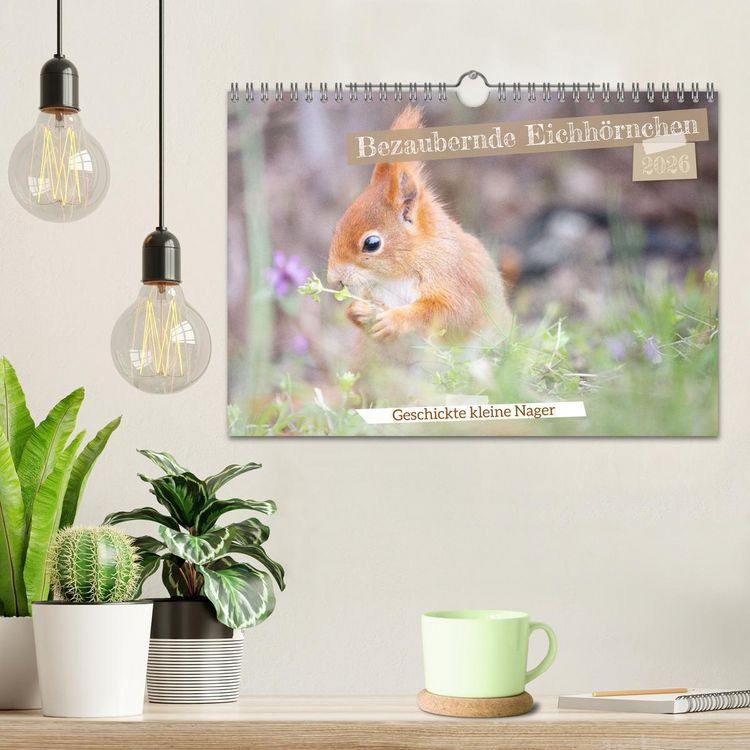 Produktbild: Bezaubernde Eichh&ouml;rnchen (Wandkalender 2026 DIN A4 quer), CALVENDO Monatskalender